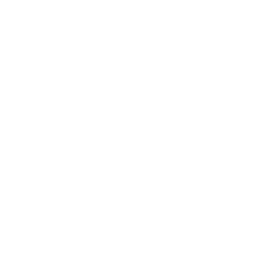 Icon Fires : leader du chauffage à l'éthanol